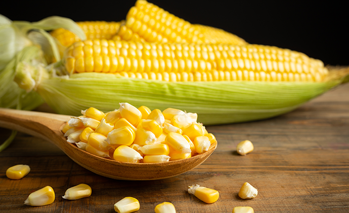 Lifetime Corn