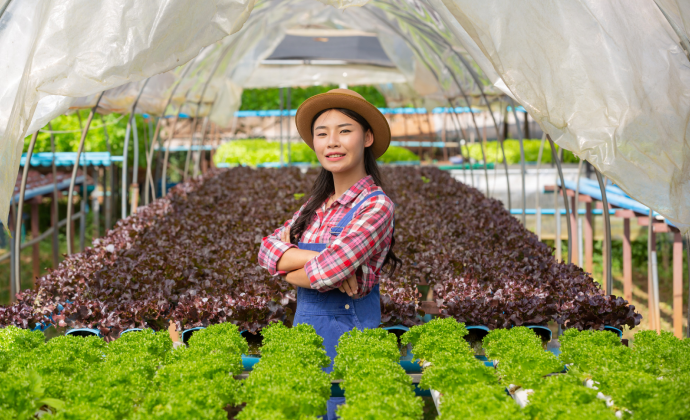 Sustainable Broccoli Farming Investment